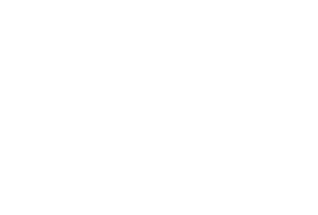 Villalón Group